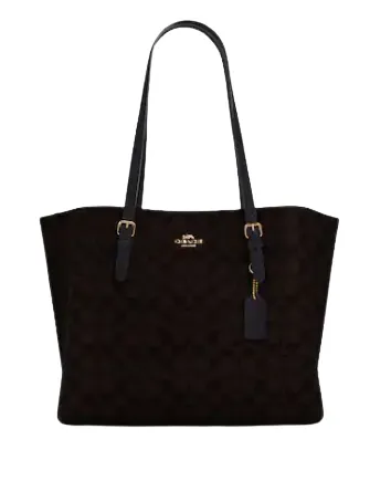Coach Mollie Tote In Signature Canvas