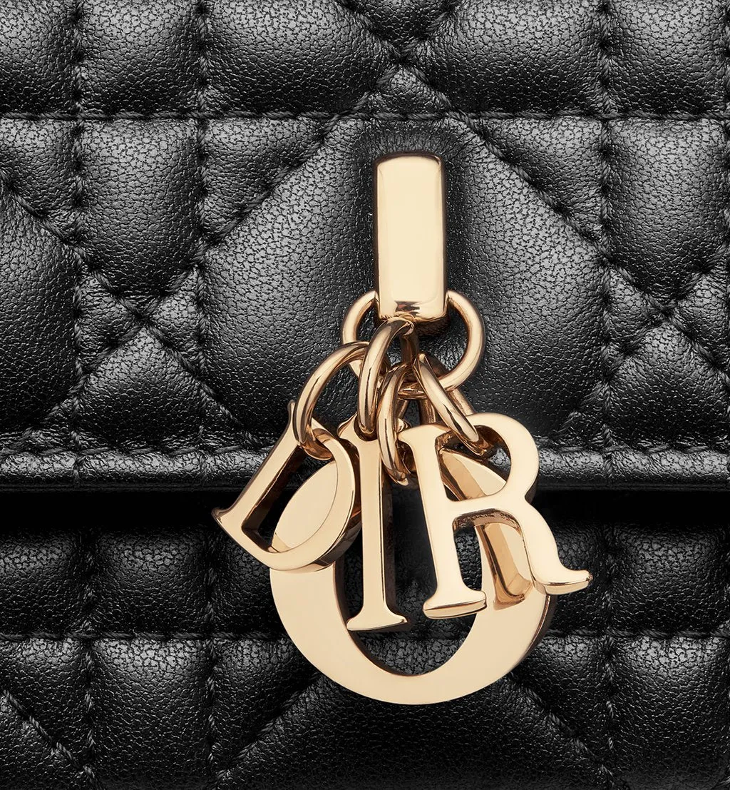 Dior Mini Bag