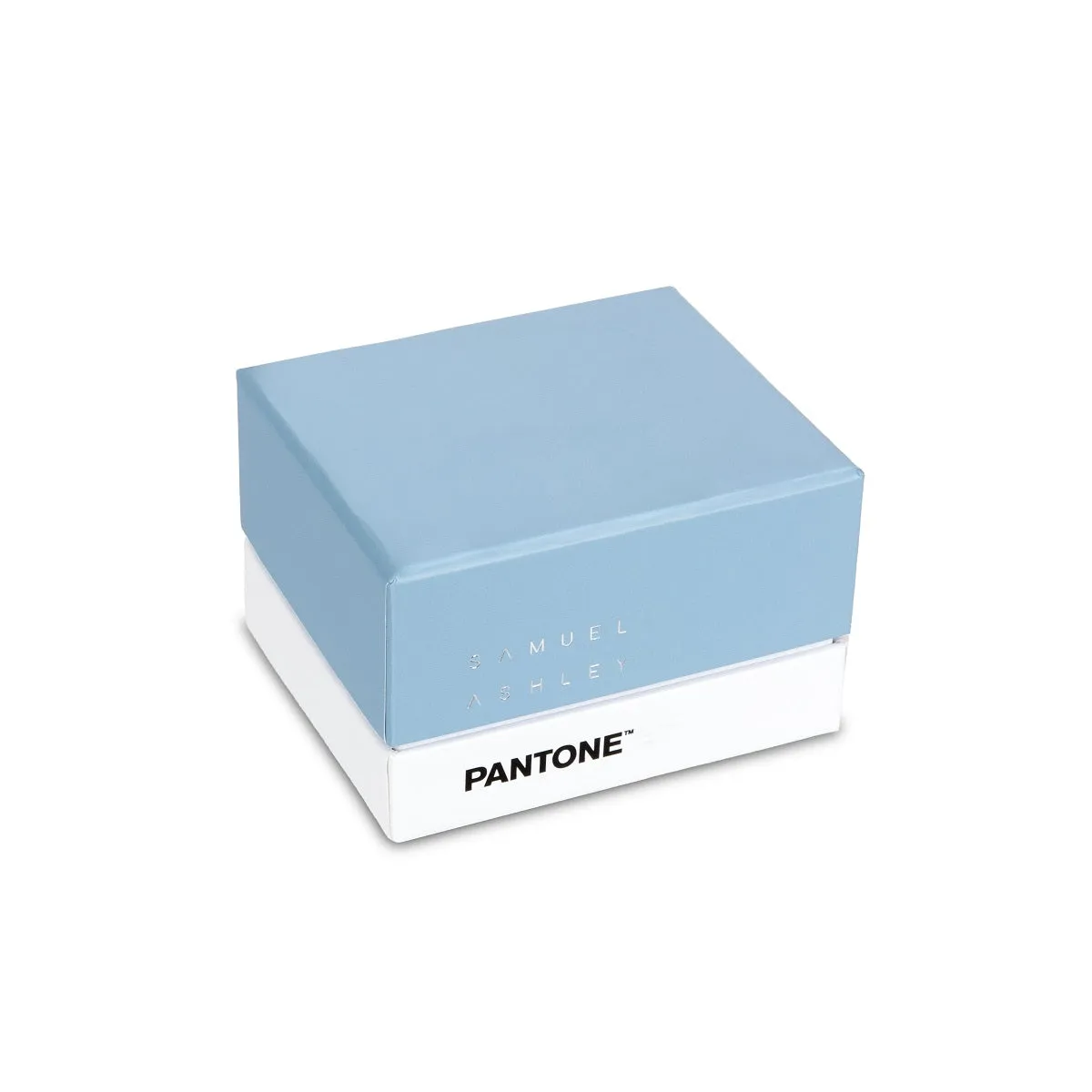 Samuel Ashley x Pantone Leather Key Chain Pouch