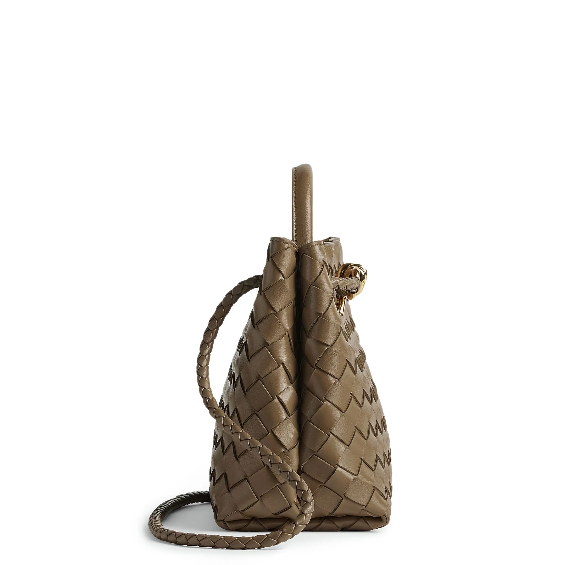 Small Andiamo, Pinecone